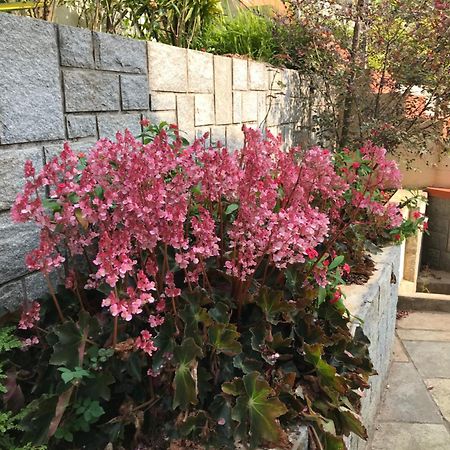 Robin Woods Homestay Sakleshpur Esterno foto