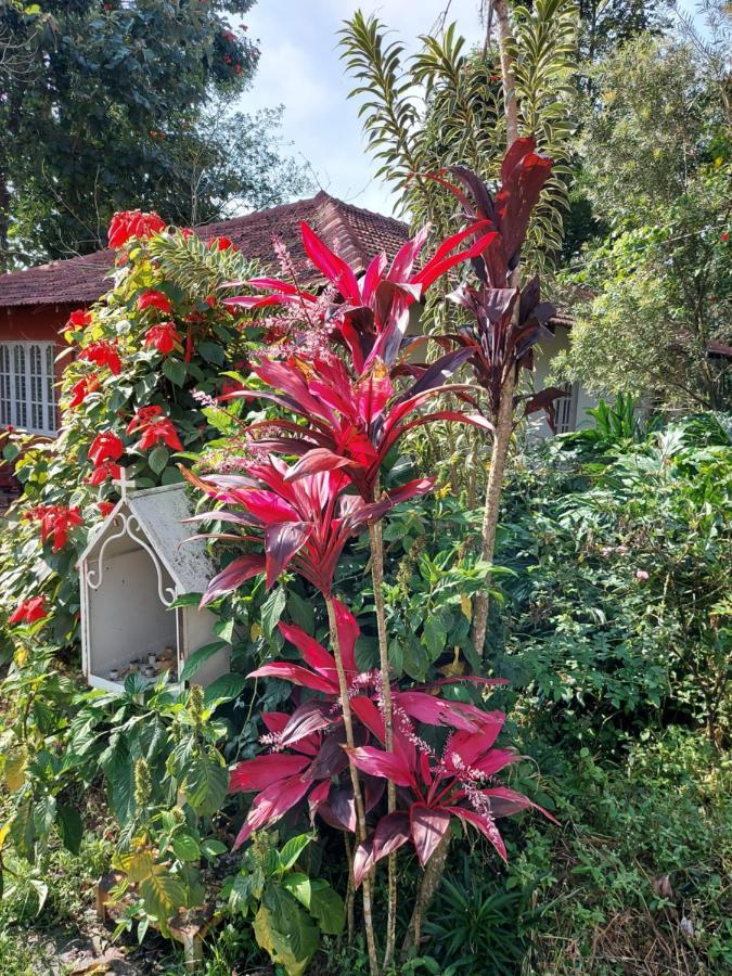 Robin Woods Homestay Sakleshpur Esterno foto