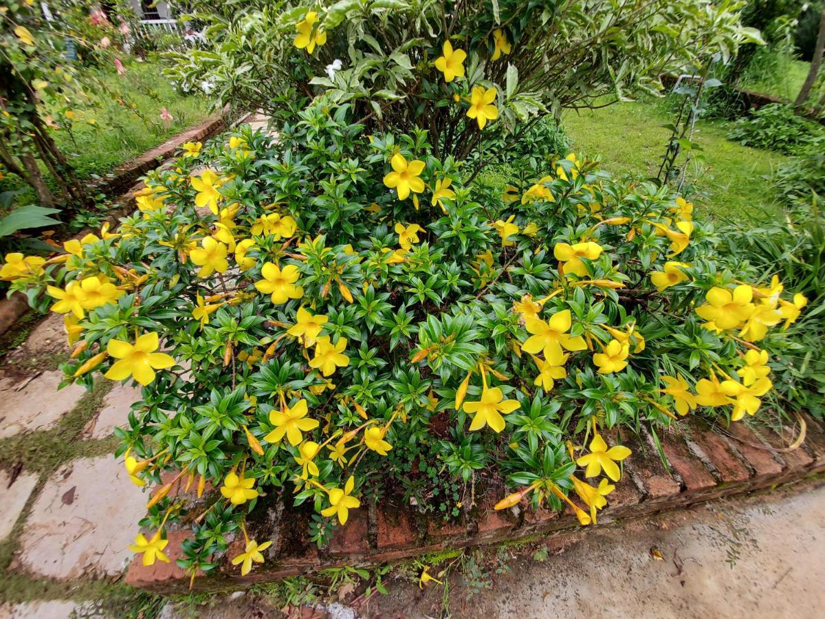 Robin Woods Homestay Sakleshpur Esterno foto