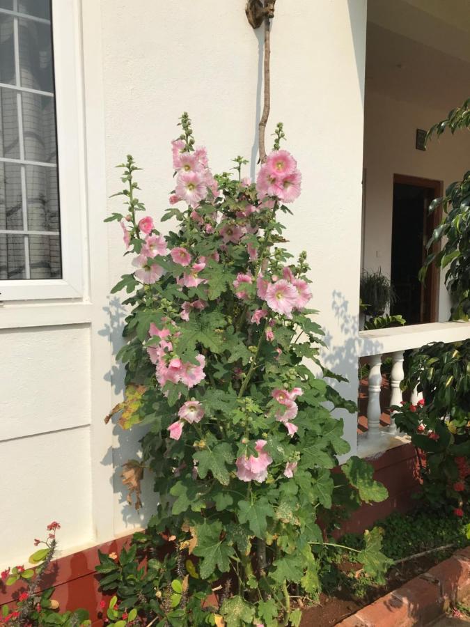 Robin Woods Homestay Sakleshpur Esterno foto