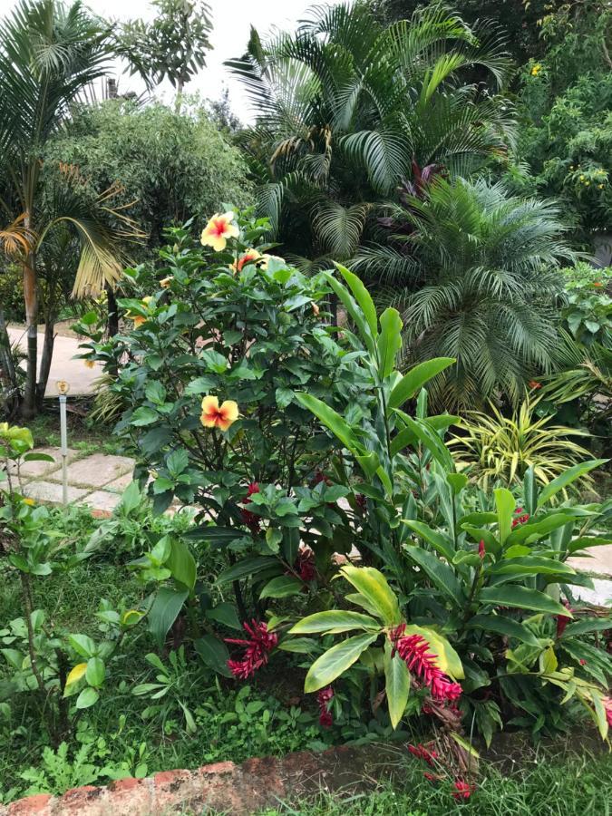 Robin Woods Homestay Sakleshpur Esterno foto