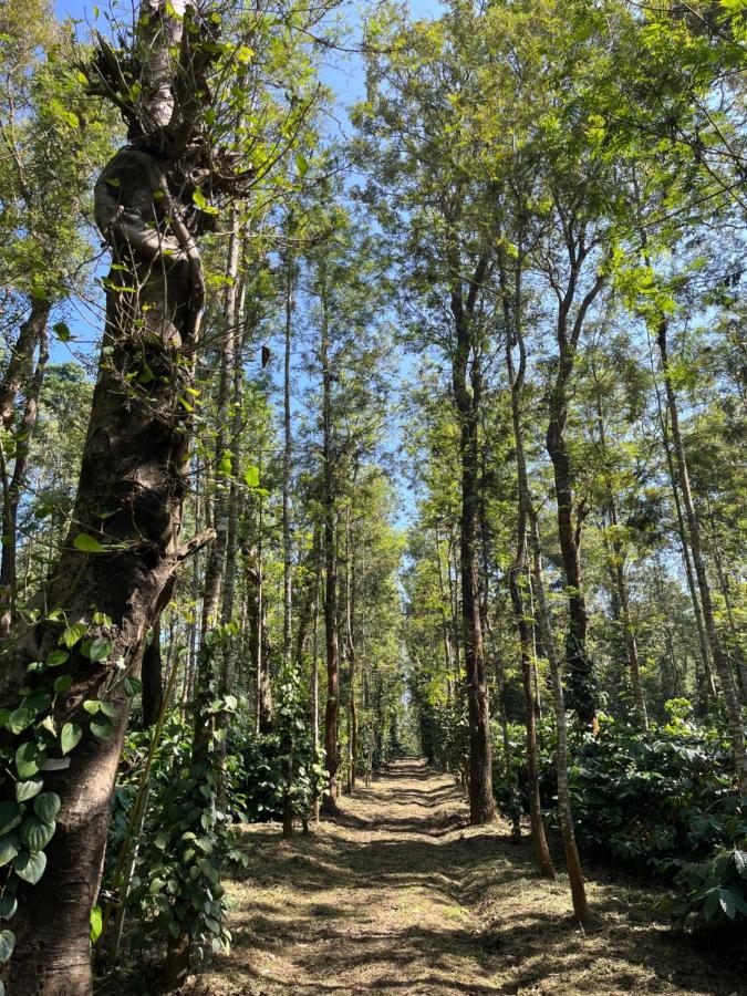 Robin Woods Homestay Sakleshpur Esterno foto